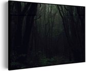 Akoestisch Schilderij Het Donkere Bos Rechthoek Horizontaal Pro L (100 x 72 CM) - Akoestisch paneel - Akoestische Panelen - Akoestische wanddecoratie - Akoestisch wandpaneel