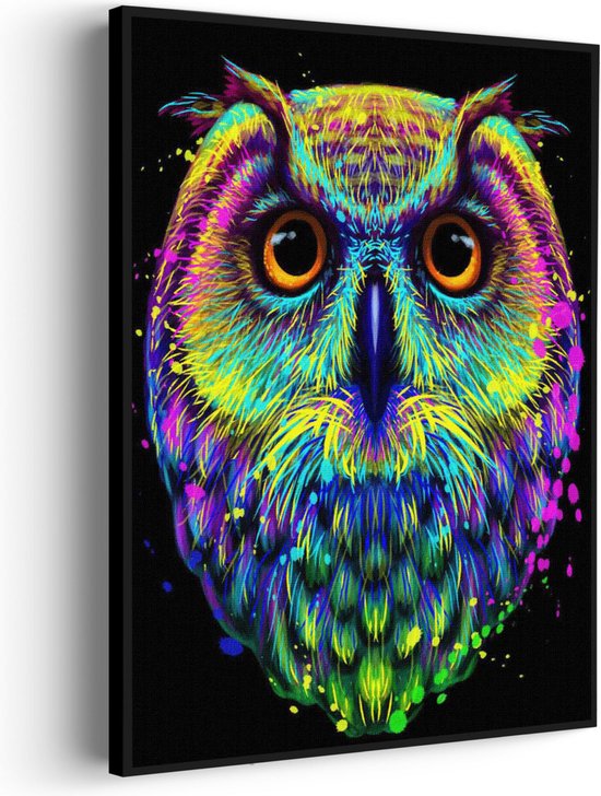 Akoestisch Schilderij Colored Owl 01 Rechthoek Verticaal Pro M (60 X 85 CM) - Akoestisch paneel - Akoestische Panelen - Akoestische wanddecoratie - Akoestisch wandpaneel