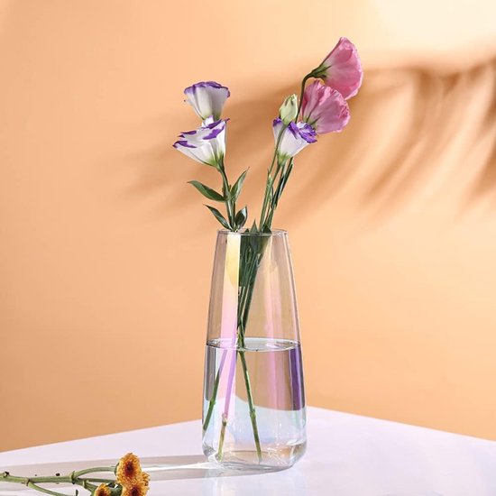 Glazen vaas, kegelvormige vaas, decoratieve bloem- en plantenvazen, kristalheldere terrariumplanter van 8,8 inch voor bruiloften, feesten, evenementen, decoraties voor kantoor of woonkamer, huisdecoratie.