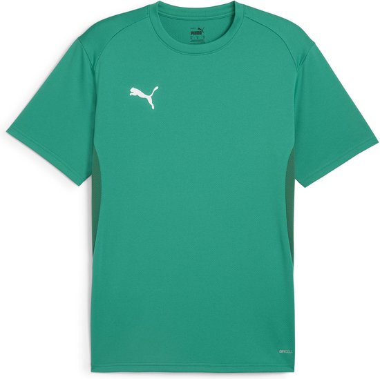 PUMA teamGOAL Jersey Heren Sportshirt - Sport Green-PUMA Wit-Power Green - Maat S
