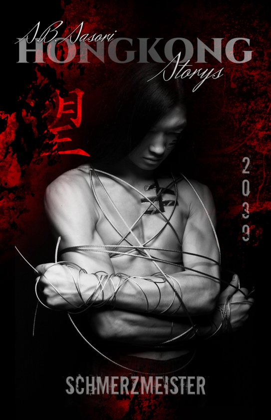Hongkong Storys 4 - Schmerzmeister - cover