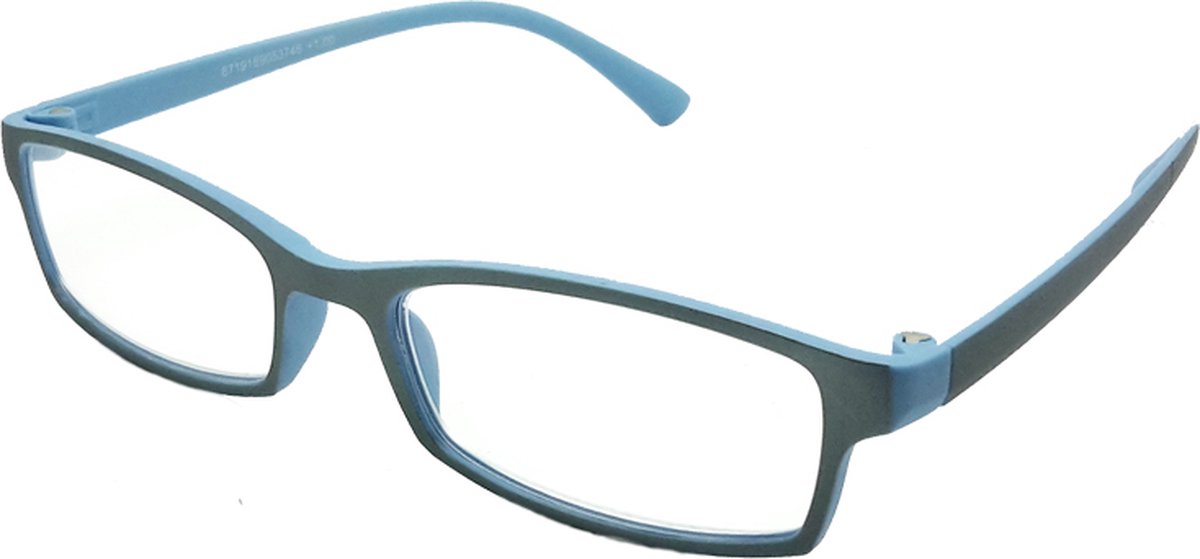 HIP Leesbril Blauw/Zilver +3.0