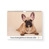 XL 2024 Kalender - Jaarkalender - French bulldog