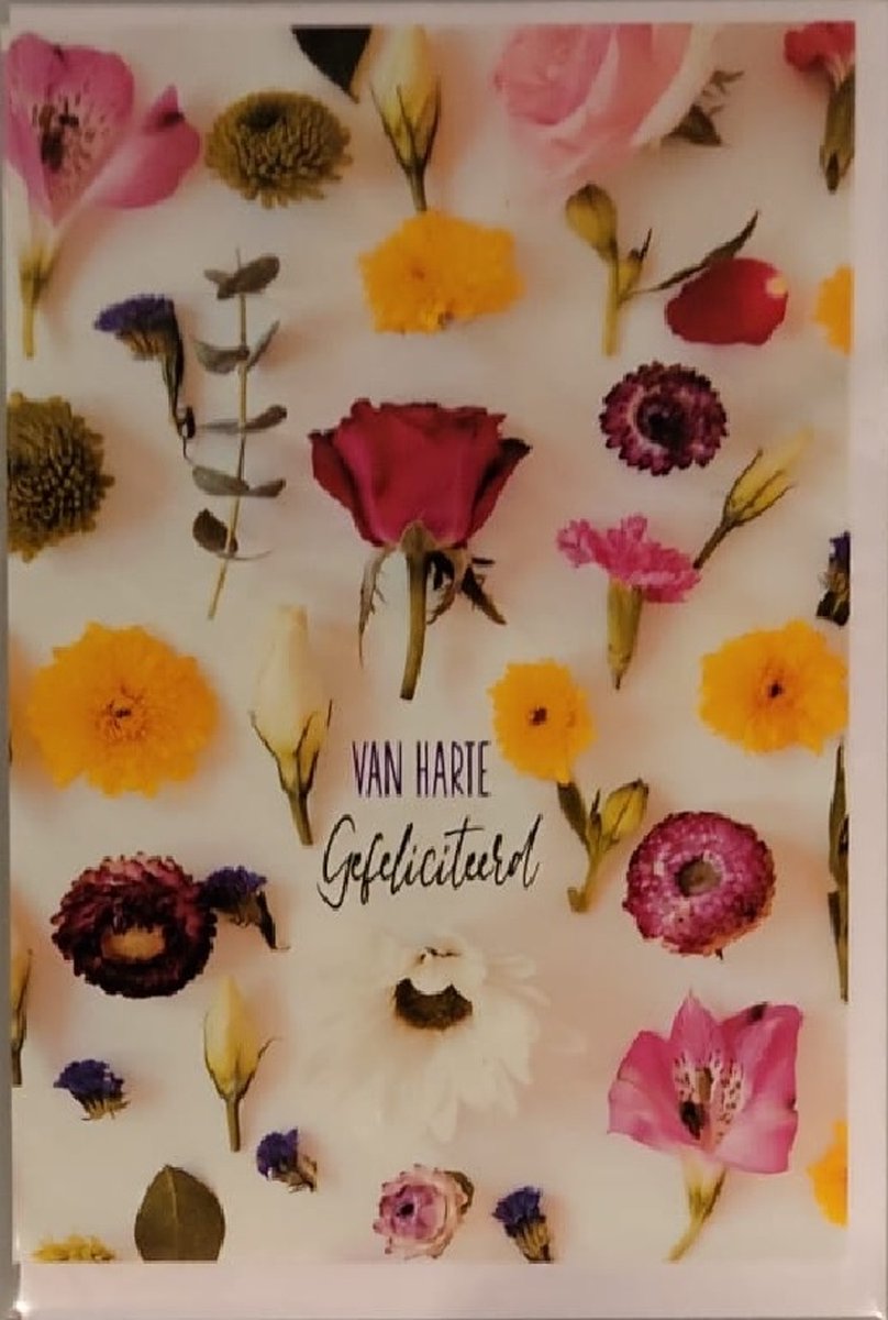Van harte gefeliciteerd met je verjaardag. Een leuke kaart met kleurrijke bloemen. Een leuke kaart om zo te geven of om bij een cadeau te voegen. Een dubbele wenskaart inclusief envelop en in folie verpakt.