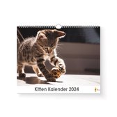 Kitten Kalender 2024 - Jaarkalender 2024 - 35x24cm - 300gms