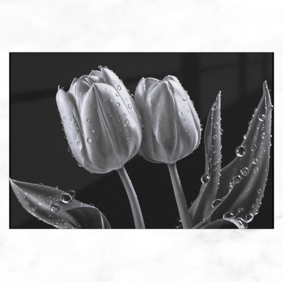 De Muurdecoratie - Glasschilderij - Twee Zilveren Tulpen Met Waterdruppels - Acrylaat - Natuur - Tulpen - 90x60 cm - Muurdecoratie Woonkamer - Wanddecoratie Industrieel