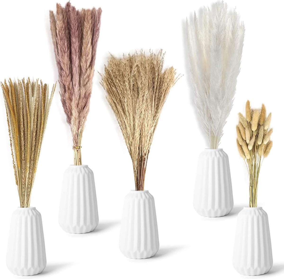 meerklose 75 stuks gedroogde pampasgras, gedroogde pampasgras, natuurlijke gedroogde bloemen voor vazen, klein gedroogd pampasgras, natuurlijke gedroogde bloemen, pampasgras, natuurlijk pampasgras beige