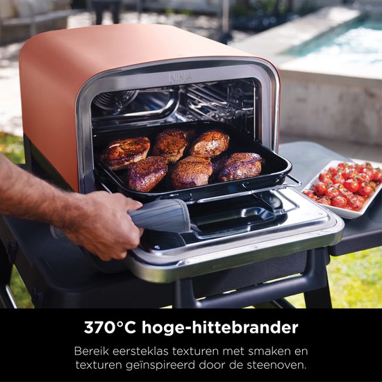 PINI ini Brennholz Buche 15 c getrocknet für tragbare Pizzaöfen Grill