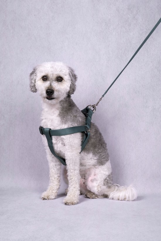 Flamingo - Flamingo Ziggi - Looplijn Honden - Looplijn Ziggi Donkergroen 130cm 15mm - 1st - 134776 - 1st - 1pce