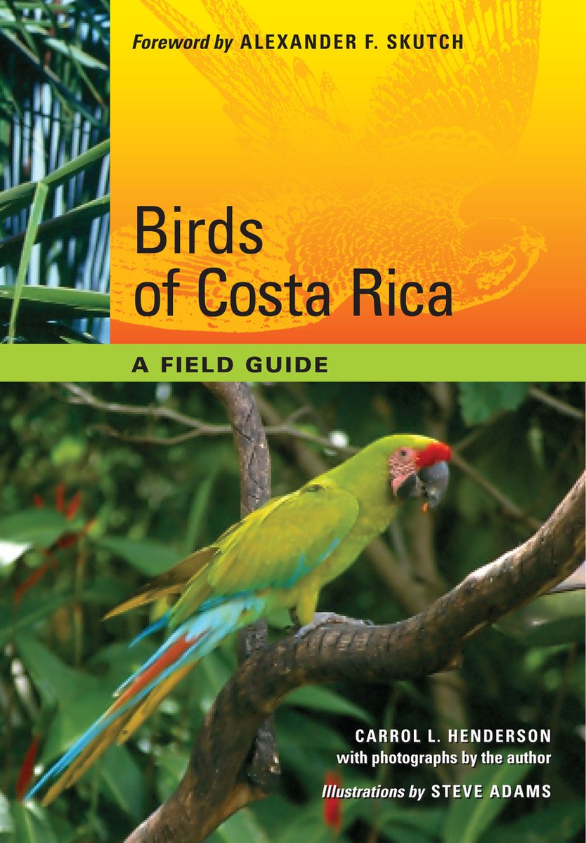 Birds of Costa Rica - Carrol L. Henderson