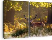 Artaza Canvas Schilderij Tweeluik Hert in de Bossen - 120x80 - Foto Op Canvas - Canvas Print