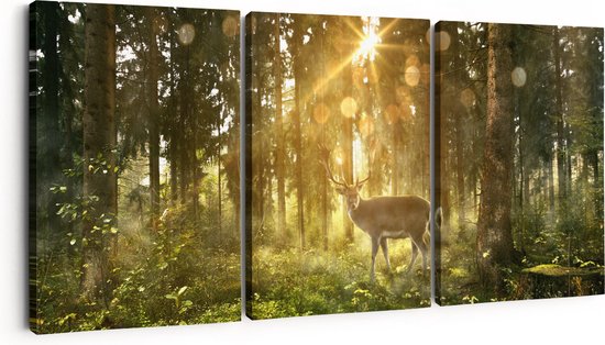 Artaza Canvas Schilderij Drieluik Hert In Bos Met Zon - 90x40 - Foto Op Canvas - Canvas Print