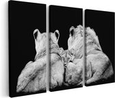 Artaza Peinture sur Toile Triptyque Famille des Lions - Lion - Zwart Wit - 180x120 - Groot - Photo sur Toile - Impression sur Toile