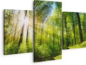 Artaza Canvas Schilderij Drieluik Weg Omringd Met Bomen In Het Bos - 150x120 - Groot - Foto Op Canvas - Canvas Print