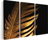 Artaza Canvas Schilderij Drieluik Gouden Veer - 150x100 - Groot - Foto Op Canvas - Canvas Print