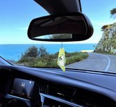 Windsurfing - Car Airfreshner -Simmer Blacktip 2022 - Miami Beach