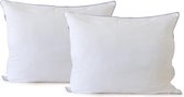 Eleganzazz Goodnight Pillow - Microfibre - Offre 2 Pièces Oreillers - Coussin 60x70cm - Set de 2 Coussins