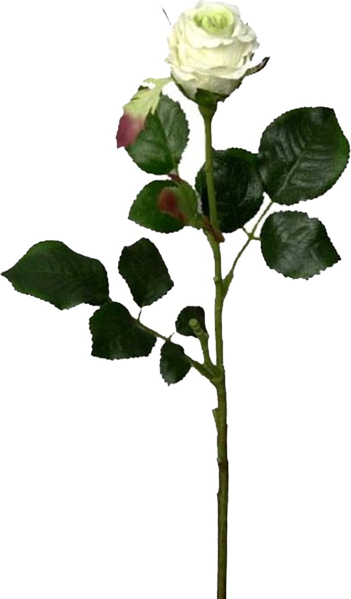 Mica Decorations Kunstbloem roos Elena - creme - 48 cm - kunststof steel - bloemen