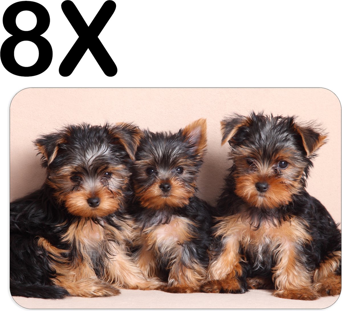 BWK Luxe Placemat - Schattige Yorkshire Puppies - Honden - Set van 8 Placemats - 45x30 cm - 2 mm dik Vinyl - Anti Slip - Afneembaar