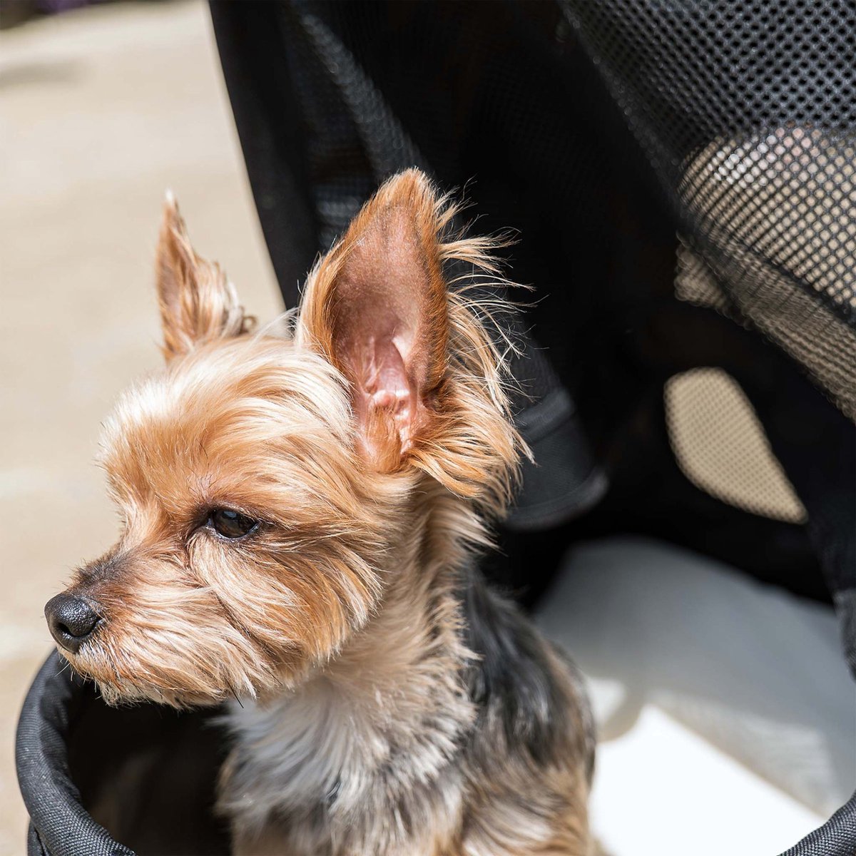 Fudajo hondenwagen 2-in-1 hondenbuggy inklapbaar grijs huisdierwagen honden met mand en plank