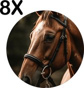 BWK Flexibele Ronde Placemat - Close-Up van een Bruin Paard - Dieren - Set van 8 Placemats - 40x40 cm - PVC Doek - Afneembaar