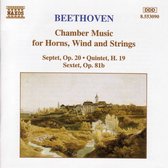 Various Artists - Chamber Music For Horn, Wind & Str (CD)
