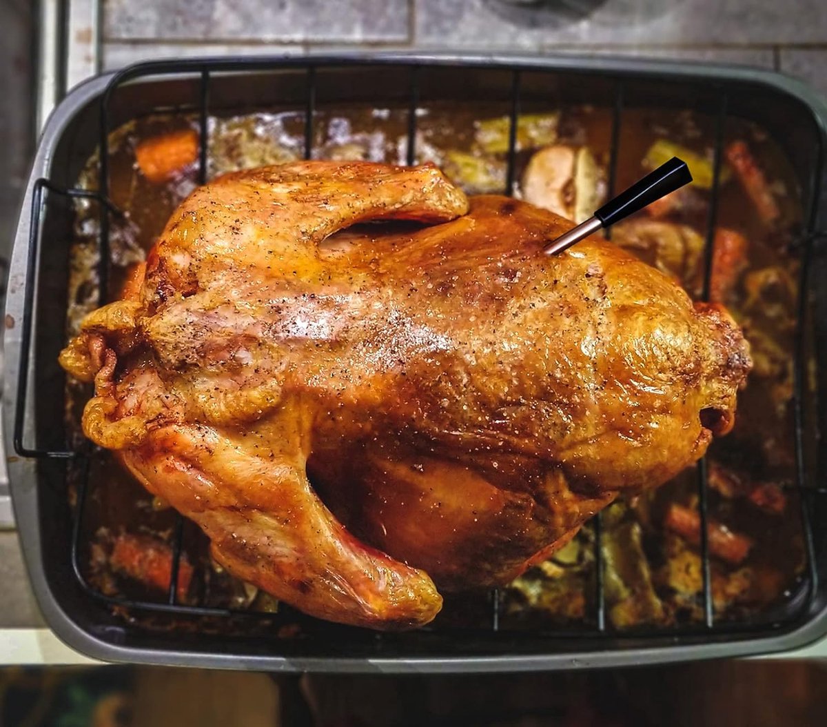 Thermomètre à Viande Sans Fil Apkezel - Double Sonde, Application Smartphone - IP67 étanche Pour Barbecue/four