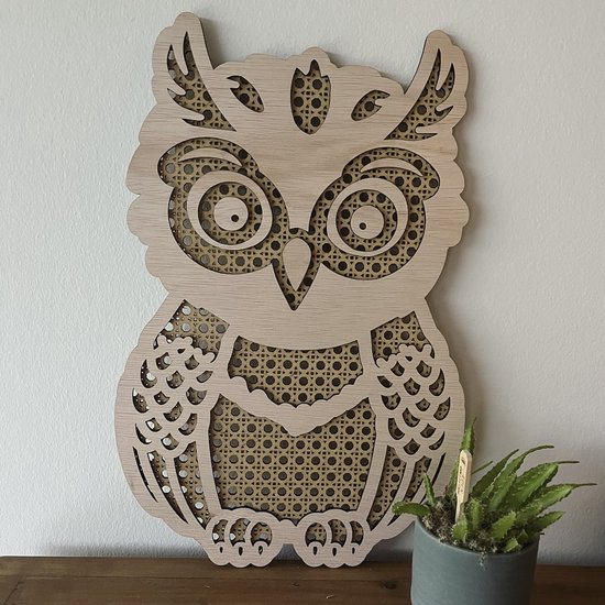 Wanddecoratie dier - Houten dierenkop - Uil wandbord - Decoratie - Kinderkamer decoratie - Aankleding kinderkamer - Rotan - Wandbord dieren - dieren - Houten hoofd dier - Houten dier - kraamcadeau - cadeau - baby