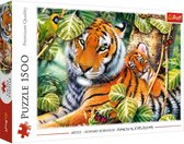 Trefl - Puzzles - "1500" - Two tigers
