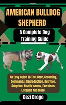 American Bulldog Shepherd