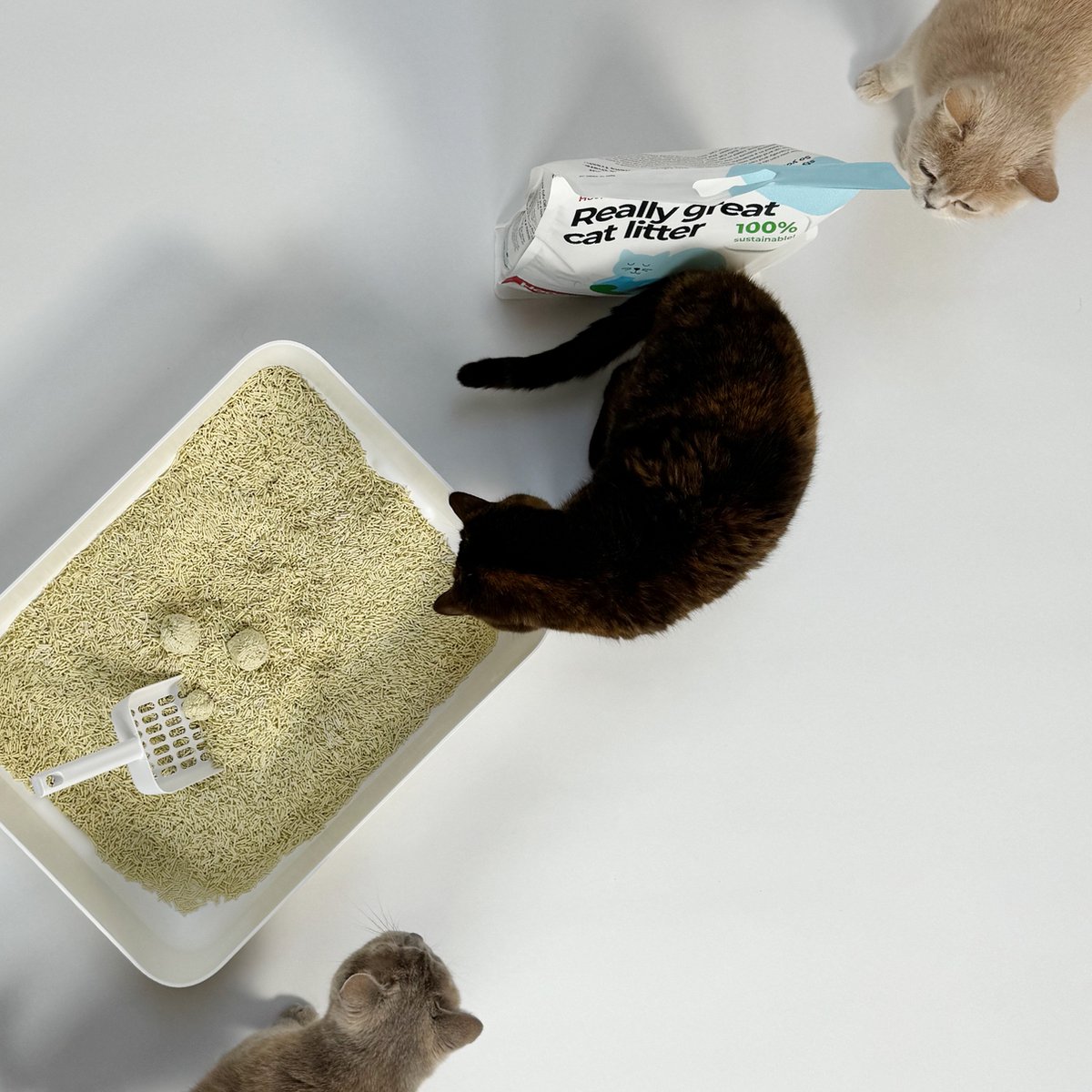 Have A Pet tofu kattenbakvulling lavendel 2,5 kg | klontvormend Have A Pet tofu kattenbakvulling lavendel 2,5 kg | klontvormend