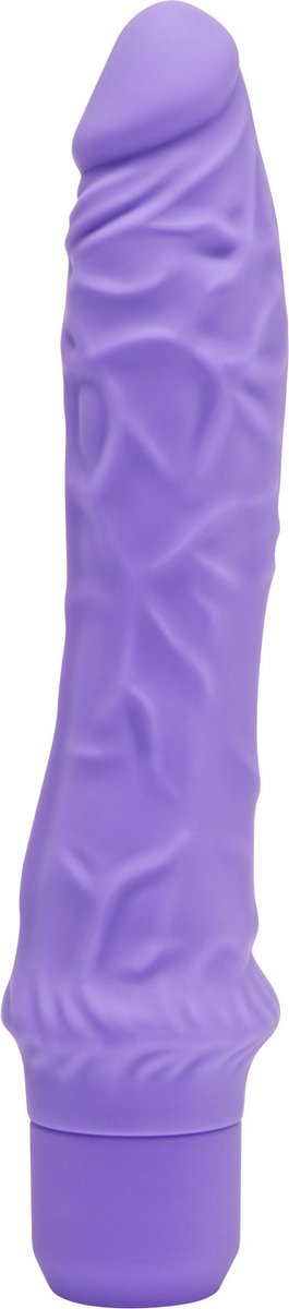 Goedkoopste Classic Large Vibrator Purple