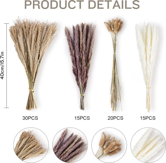 Relaxdays Herbe De La Pampa Séchée, 144 Pièces, Longueur : 41 Cm, Fleurs Séchées, Déco Boho