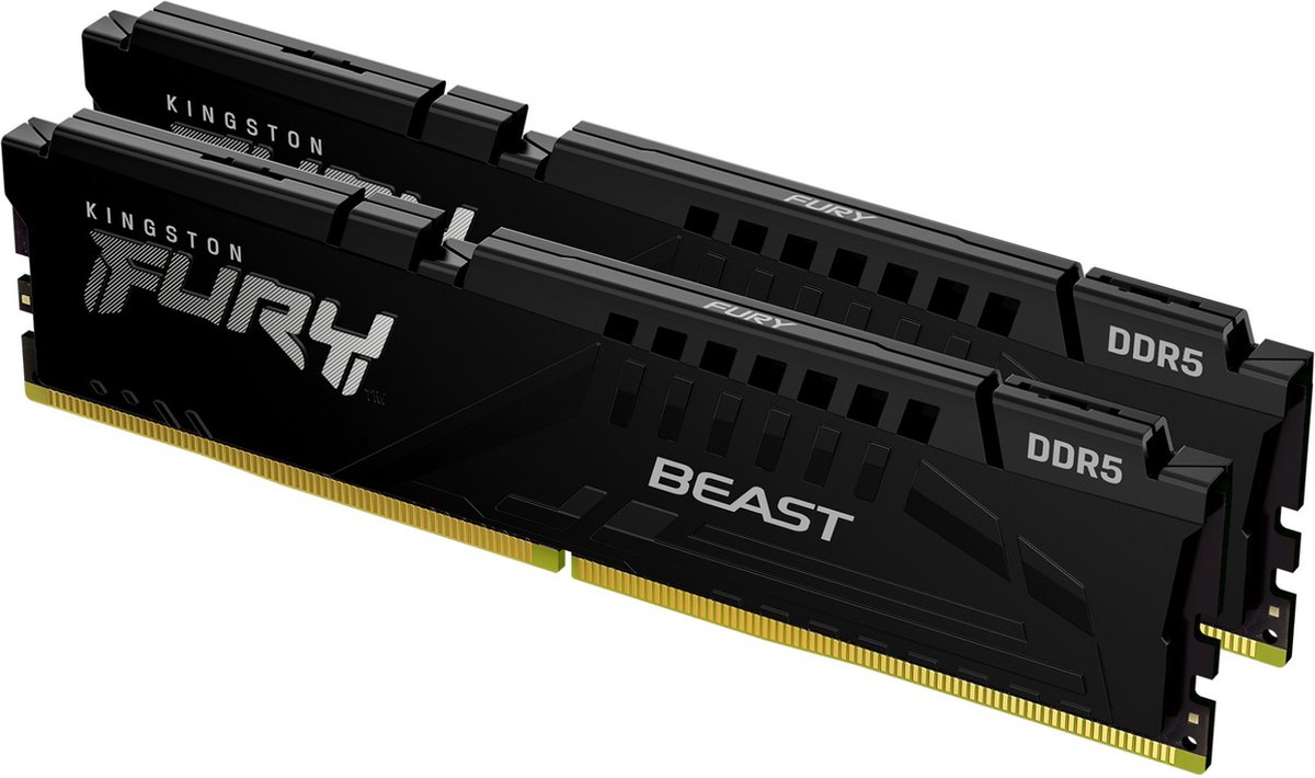 Kingston FURY 16 GB DDR5-5600 Kit Beast, EXPO