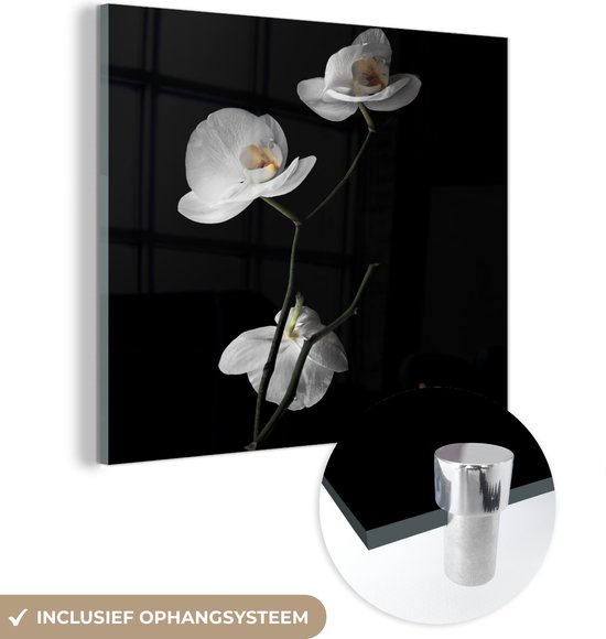 MuchoWow® Peinture sur verre 50x50 cm - Peinture sur verre acrylique - Orchidée - Fleurs - Zwart - Wit - Nature morte - Photo sur verre - Peintures