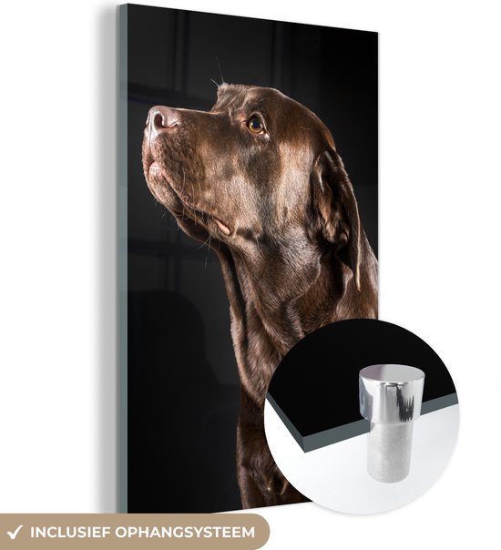 MuchoWow® Glasschilderij 60x90 cm - Schilderij acrylglas - Hond - Bruin - Portret - Foto op glas - Schilderijen