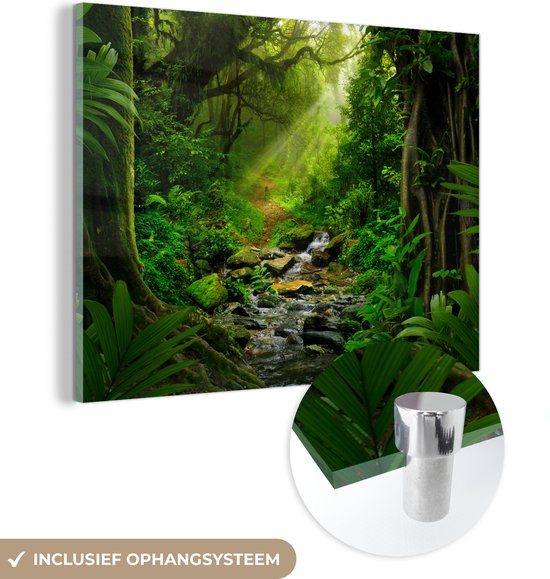 Glasschilderij - Zon - Bomen - Water - Jungle - Groen - Foto op glas - Schilderij glas - 40x30 cm - Acrylglas - Schilderijen woonkamer - Wanddecoratie