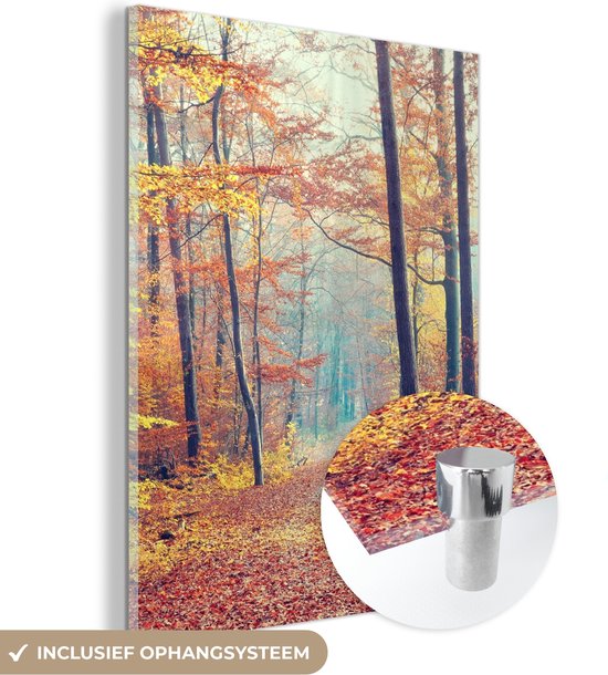 MuchoWow® Peinture sur verre 120x160 cm - Peinture sur verre acrylique - Forêt - Automne - Feuilles - Photo sur verre - Peintures