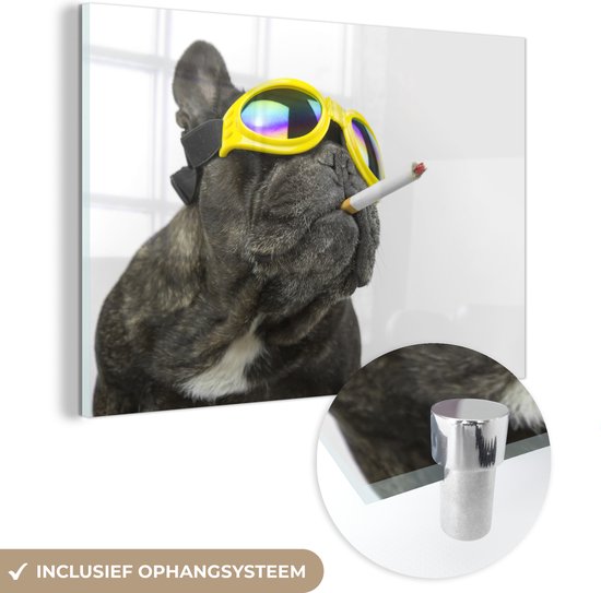 Glasschilderij - Hond - Zonnebril - Sigaret - Roken - Acrylglas Schilderijen - Foto op Glas