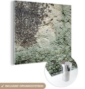 MuchoWow® Peinture sur verre 50x50 cm - Peinture sur verre - Mousse - Grijs - Vert - Photo sur verre acrylique - Peintures