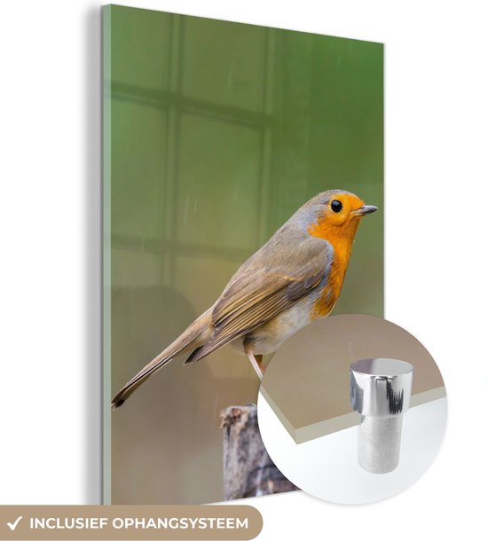 MuchoWow® Peinture sur verre 120x160 cm - Peinture sur verre acrylique - Animaux - Oiseau - Vogel -gorge - Photo sur verre - Peintures
