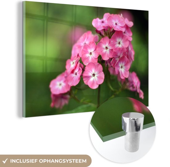 Fleurs flammes roses sur fond vert Plexiglas 180x120 cm - Tirage photo sur Glas (décoration murale plexiglas) XXL / Groot format!