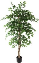 Ficus benjamina i/pot h180cm groen