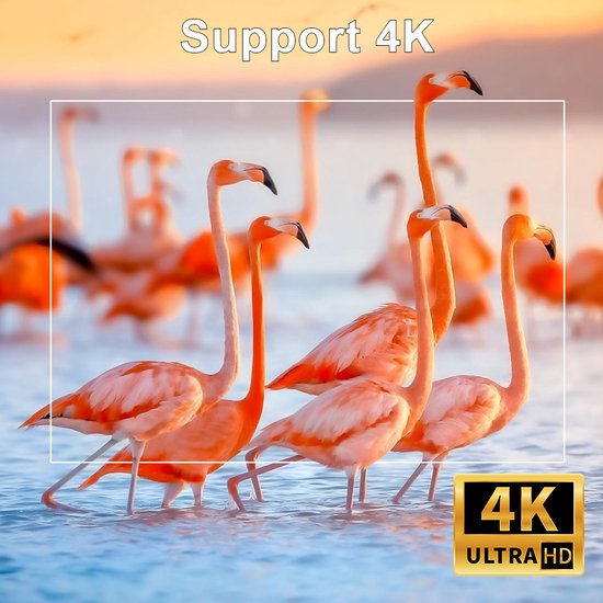 Flamingo's in water, met "Support 4K" en "4K ULTRA HD" logo's.