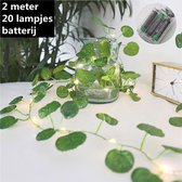 Xtraworks - Begoniablad Lichtslinger - werkt op batterij - 20 lichtjes - 2 meter