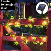 Xtraworks -LED lamp op zonne solar lichtslinger esdoorn klimop 2 meter 20 lampjes