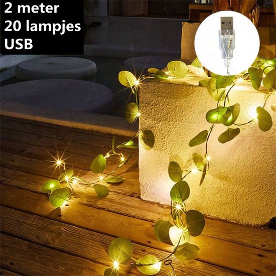 Xtraworks - led lichtstring eucalyptusbladeren wijnstok licht-werkt op USB- 2 meter 20 lampjes