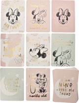Disney Minnie Mouse Milestone Kaarten Roze