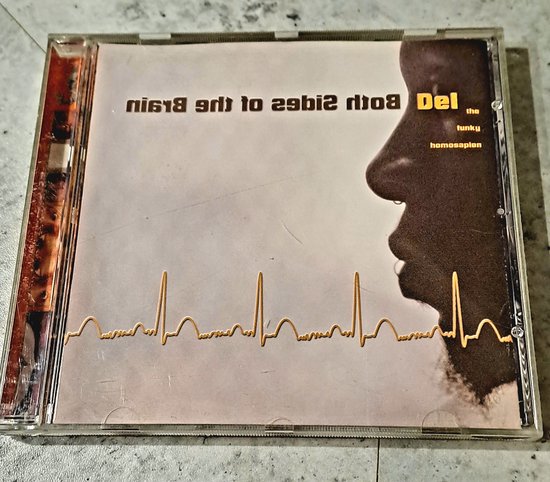 Both Sides of the Brain