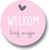 25x Sluitsticker Welkom lief Zusje-Roze - Roze - 40 mm - Geboorte Sticker - Sluitzegel - Sticker Geboortekaart - Baby nieuws - Trakteren Broer Zus Basisschool Kinderdagverblijf - Glossy - Sluitzegel - Wensetiket